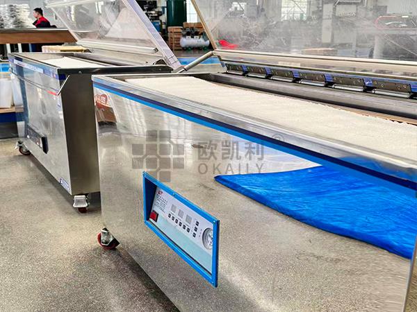 Vacuum Packaging Machine